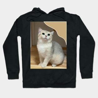 the little cute cats Hoodie